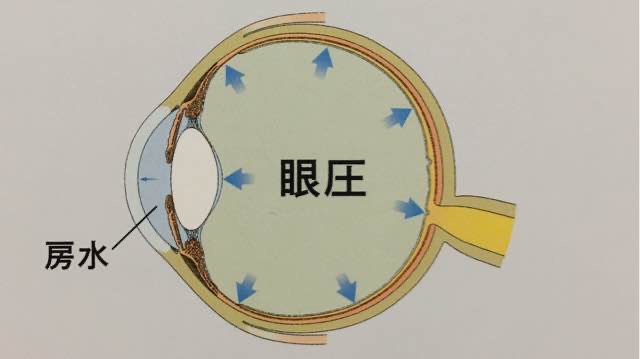 眼圧は眼球を満たす房水の量によって、つねに変動する（図1）